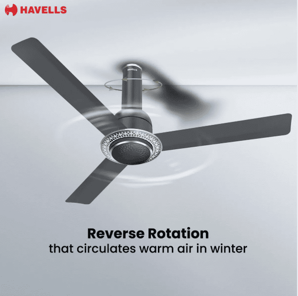 Havells CERA BLDC 1200mm Premium Underlight Ceiling Fan with 100% Pure Copper | Reverse Rotation | Remote Controlled | Watt: 35 | Air Flow: 225 cmm | Speed: 350 RPM | 2 Years Manufacturer Warranty | Slate | 5Star | Free Installation | - Image 4